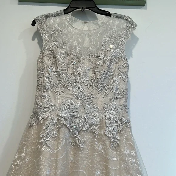 basix black label illusion bodice lace and sequin appliqu silver frost  size 6 - coffeafoods.com